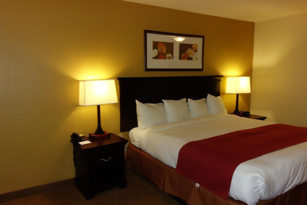 Comfort Inn & Suites Rome South Exterior foto